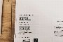 MacBook Air 13" - Nuovo 5