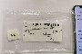 iPhone 11 Pro 256 GB - Used 3