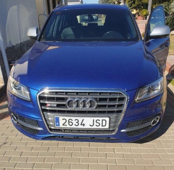 Autovetture - Audi, Volkswagen e Peugeot - Trib. N.2 di Las Palmas di Gran Canaria