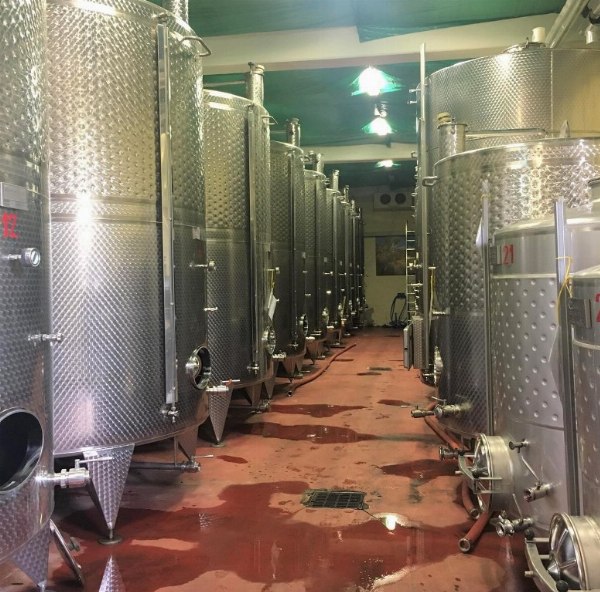 Winemaking systems, furnishings and equipment - 8.000 bottles of red wine - Bank. 5/2019 - Avellino L.C. 