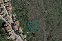 Terra agricola a Tufillo (CH) - LOTTO 12 1
