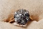 18 Carat Yellow Gold Ring - Diamonds 0.10 ct - Diamonds 0.19 ct - Rosette 1