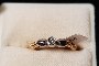 Anello Oro Giallo e Oro Bianco 18 Carati - Diamanti 1