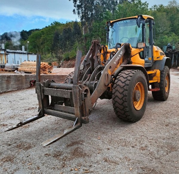 Industrial sawmill - Plant and equipment - Coruña Law Court n° 2