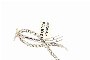 White Gold Brooch 18 Carat - Diamonds 2