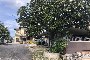 Apartment and artisanal building in San Cesareo (Roma) - LOT 1 4