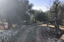 Terreno agricolo a Bitonto (BA) - LOTTO 2 3