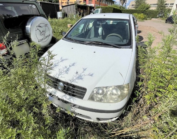 Trance per pietra - Hyundai Galloper e FIAT Punto - Amministrazione giudiziaria n. 2931/2017- Tribunale di Trento