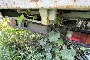 IVECO 35C13 Truck 6