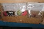 Buckles, Buttons and Haberdashery Accessories 1