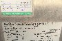 No. 3 Scales 2