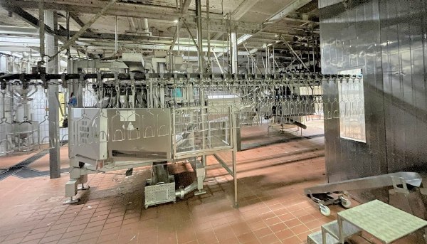 Macellazione pollame - Impianti e macchinari - Conc. Pieno con Continuità Aziendale n. 31/2019 - Tribunale di Padova - Vendita 2