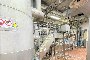 Linea Completa Lavorazione Colli 6