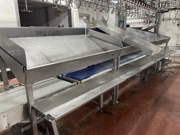 Macellazione pollame - Impianti e macchinari - Conc. Pieno con Continuità Aziendale n. 31/2019 - Tribunale di Padova