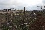 Bouwgrond in Putignano (BA) - LOT 4 4