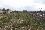 Bouwgrond in Putignano (BA) - LOT 4 6