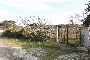 Terreni agricoli a Putignano (BA) - LOTTO 16 3