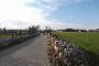 Terreni agricoli a Putignano (BA) - LOTTO 18- QUOTA 50% 4