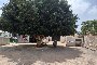 Quota del 50% di una proprietà rurale e fabbricati a Motril, Granada 5
