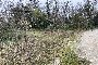 Terreno con fabbricato collabente a Fiume Veneto (PN) - LOTTO 1A 6