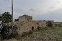 Land and rural buildings in Lucera (FG) - LOT 3 5