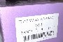 Stock Abbigliamento Intimo Uomo/Donna ANNIC 3