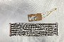 Collier et N. 3 Bracelets 6