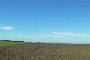 Terreni agricoli a Montemilone (PZ) 5