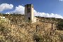 Landbrukseiendommer i Ribera (AG) 4