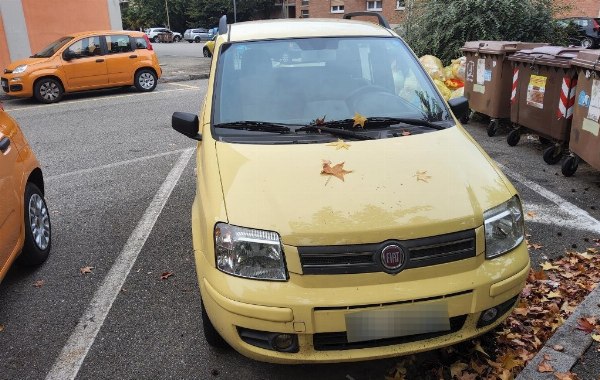 Autocarros - FIAT Panda - Liq.Giud. n.08/2023 - Tribunal de Biella - Venda 5