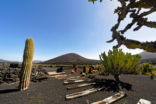 Immobili a Santa Cruz de Tenerife e Las Palmas de Gran Canaria - Spagna - Trib. N.17 di Madrid