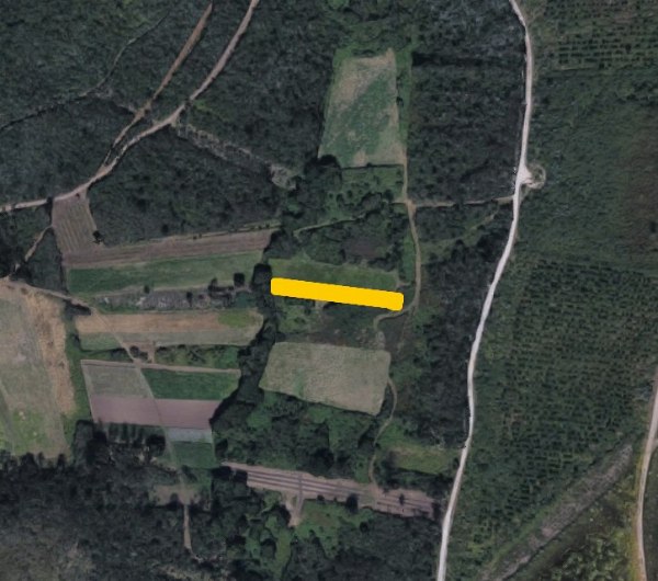 Fincas rustiche a Santiago de Compostela - Tribunale Commerciale N.1 di A Coruña