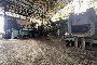 Brick Production Machinery and Facilities 1