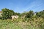 Agricultural land and portion of ruined building n Castagnaro (VR) - LOT B6 4