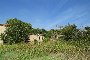 Terreno agrícola y porción de edificio en ruinas en Castagnaro (VR) - LOTE B6 5
