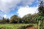 Terreno agricolo a Cabanas, A Coruña 5