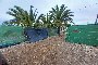 Terreno rustico per lavorazione e atterraggio ad Arucas, Las Palmas de Gran Canaria 5
