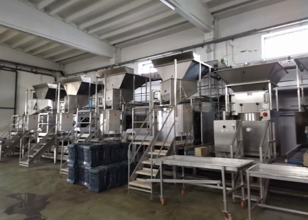 Processamento de frutas e legumes - Máquinas e equipamentos - Fal. n. 11/2021 - Tribunal de Foggia - Venda 2