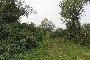 Floodplain lands and ruined buildings in Riva del Po(FE) - LOT F4 2