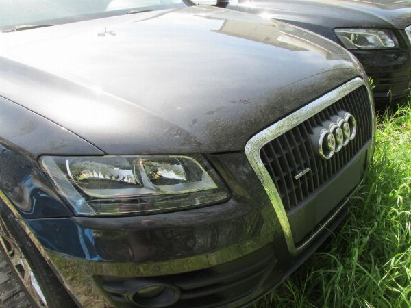 Audi Q5 - Peugeot Lieferwagen - Liquidation Gerichtsverfahren Nr. 11/2023 - Gericht von Prato - Verkauf 2