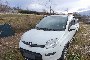 FIAT Panda 4x4 - B 1