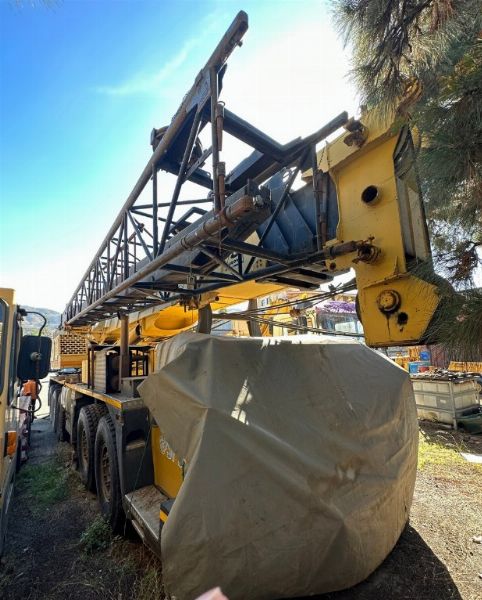 Autogrù Grove TM-990-I und - Erdbewegungsmaschinen - Zwangsversteigerung Nr. 3/2023 - Gericht von Reggio Calabria - Verkauf 2