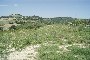 Lands in Porto San Giorgio (FM) - LOT 2 5