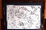 Giovanni Antonio Magini - N. 14 Cartografie 1