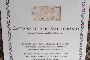 Giovanni Antonio Magini - N. 14 Cartografie 5