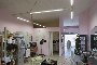 Locale commercial a Cerea (VR) - LOTTO C1 3