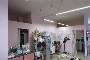 Locale commercial a Cerea (VR) - LOTTO C1 4