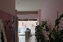 Locale commercial a Cerea (VR) - LOTTO C1 6