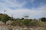 Building land in Cerea (VR) - LOT C11 6