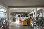 Fabbricato industriale a Pomezia (ROMA) 5